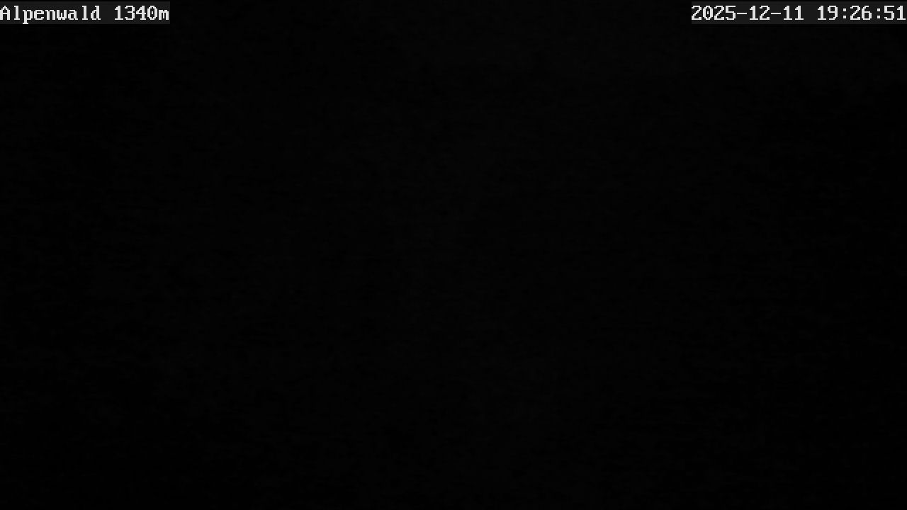 Image: Gasthof Alpenwald